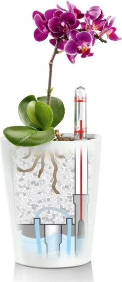 LECHUZA Tischgefäß MINI DELTINI, Weiß -Pflanzensamen Rabatt lechuza tischgefaess mini deltini 1668316 de