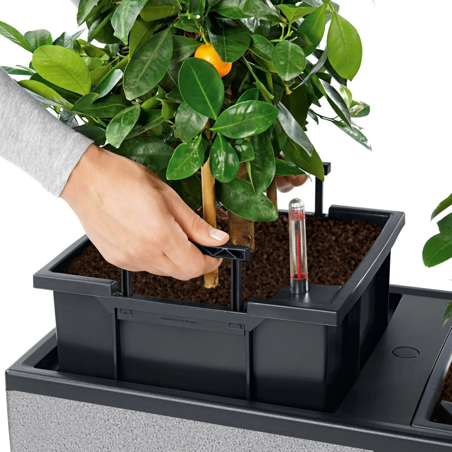 LECHUZA Pflanzgefäß TRIO "Stone" 40, Steingrau 7 LECHUZA Pflanzgefäß TRIO "Stone" 40, Steingrau – Bild 5