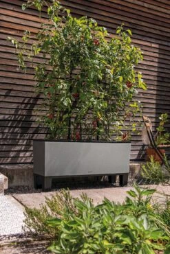 LECHUZA Pflanzgefäß TRIO "Stone" 40, Steingrau 10 LECHUZA Pflanzgefäß TRIO "Stone" 40, Steingrau -Pflanzensamen Rabatt lechuza trio stone 40 komplett set 1143264 de