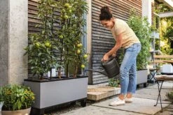 LECHUZA Pflanzgefäß TRIO "Stone" 40, Steingrau 9 LECHUZA Pflanzgefäß TRIO "Stone" 40, Steingrau -Pflanzensamen Rabatt lechuza trio stone 40 komplett set 1143271 de