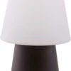 No. 1 - 30 Cm, Tischlampe (LED), Brown -Pflanzensamen Rabatt leuchte indoor outdoor all seasons no 1 hoehe 30 cm 729265 de