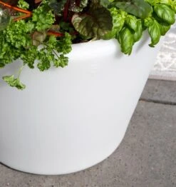 Shining Pot "Classic" - Leuchte (LED), L -Pflanzensamen Rabatt leuchte indoor outdoor shining pots classic 728785 de