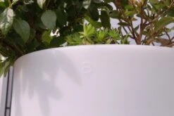 Shining Pot "Curvy" - Leuchte (SOLAR), S -Pflanzensamen Rabatt leuchte outdoor shining pots curvy solar 728215 de