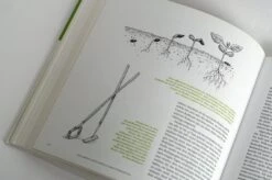 Bio-Gemüse Erfolgreich Direktvermarkten -Pflanzensamen Rabatt loewenzahn verlag bio gemuese erfolgreich direktvermarkten 1 k 1326241 de