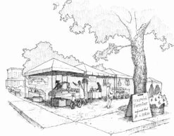 Bio-Gemüse Erfolgreich Direktvermarkten -Pflanzensamen Rabatt loewenzahn verlag bio gemuese erfolgreich direktvermarkten 1 stk 958681 de