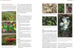 Bio-Schnittblumen Aus Dem Eigenen Garten -Pflanzensamen Rabatt loewenzahn verlag bio schnittblumen aus dem eigenen garten 1 st 1672007 de