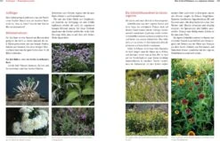 Bio-Schnittblumen Aus Dem Eigenen Garten -Pflanzensamen Rabatt loewenzahn verlag bio schnittblumen aus dem eigenen garten 1 st 1672010 de