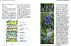 Bio-Schnittblumen Aus Dem Eigenen Garten -Pflanzensamen Rabatt loewenzahn verlag bio schnittblumen aus dem eigenen garten 1 st 1672011 de