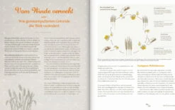 Brot Von Daheim -Pflanzensamen Rabatt loewenzahn verlag brot von daheim 1 stk 1295314 de