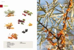 Das Große Biogarten-Buch -Pflanzensamen Rabatt loewenzahn verlag das grosse biogarten buch 1 k 1222970 de