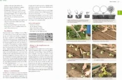 Das Große Biogarten-Buch -Pflanzensamen Rabatt loewenzahn verlag das grosse biogarten buch 1 k 1222984 de