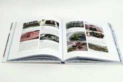 Das Sensationelle Winterhochbeet -Pflanzensamen Rabatt loewenzahn verlag das sensationelle winterhochbeet 1 k 1325735 de