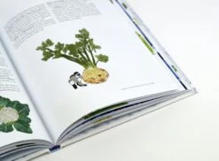 Das Sensationelle Winterhochbeet -Pflanzensamen Rabatt loewenzahn verlag das sensationelle winterhochbeet 1 k 1325742 de