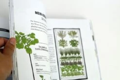 Das Sensationelle Winterhochbeet -Pflanzensamen Rabatt loewenzahn verlag das sensationelle winterhochbeet 1 k 1325766 de