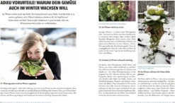 Das Sensationelle Winterhochbeet -Pflanzensamen Rabatt loewenzahn verlag das sensationelle winterhochbeet 1 st 1671982 de