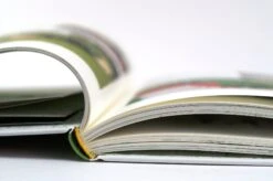 Das Unglaubliche Hochbeet -Pflanzensamen Rabatt loewenzahn verlag das unglaubliche hochbeet 1 stk 832234 de