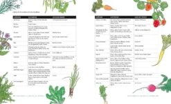 Das Unglaubliche Hochbeet -Pflanzensamen Rabatt loewenzahn verlag das unglaubliche hochbeet 1 stk 832255 de