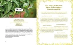 Dein Fantastischer Balkongarten -Pflanzensamen Rabatt loewenzahn verlag dein fantastischer balkongarten 1 st 1672000 de