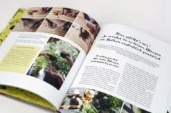 Dein Fantastischer Balkongarten -Pflanzensamen Rabatt loewenzahn verlag dein fantastischer balkongarten 1 stk 831564 de