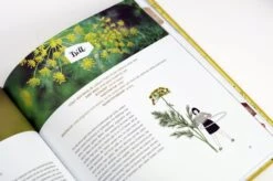 Dein Fantastischer Balkongarten -Pflanzensamen Rabatt loewenzahn verlag dein fantastischer balkongarten 1 stk 831578 de