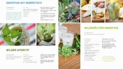 Die Kraft Der Kräuter Nutzen 13 Die Kraft Der Kräuter Nutzen -Pflanzensamen Rabatt loewenzahn verlag die kraft der kraeuter nutzen 1 k 1223553 de