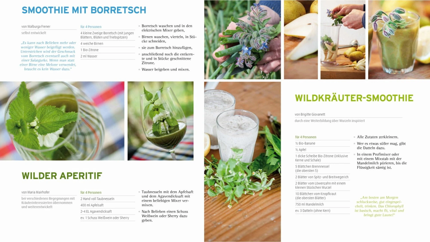 Die Kraft Der Kräuter Nutzen 6 Die Kraft Der Kräuter Nutzen – Bild 4