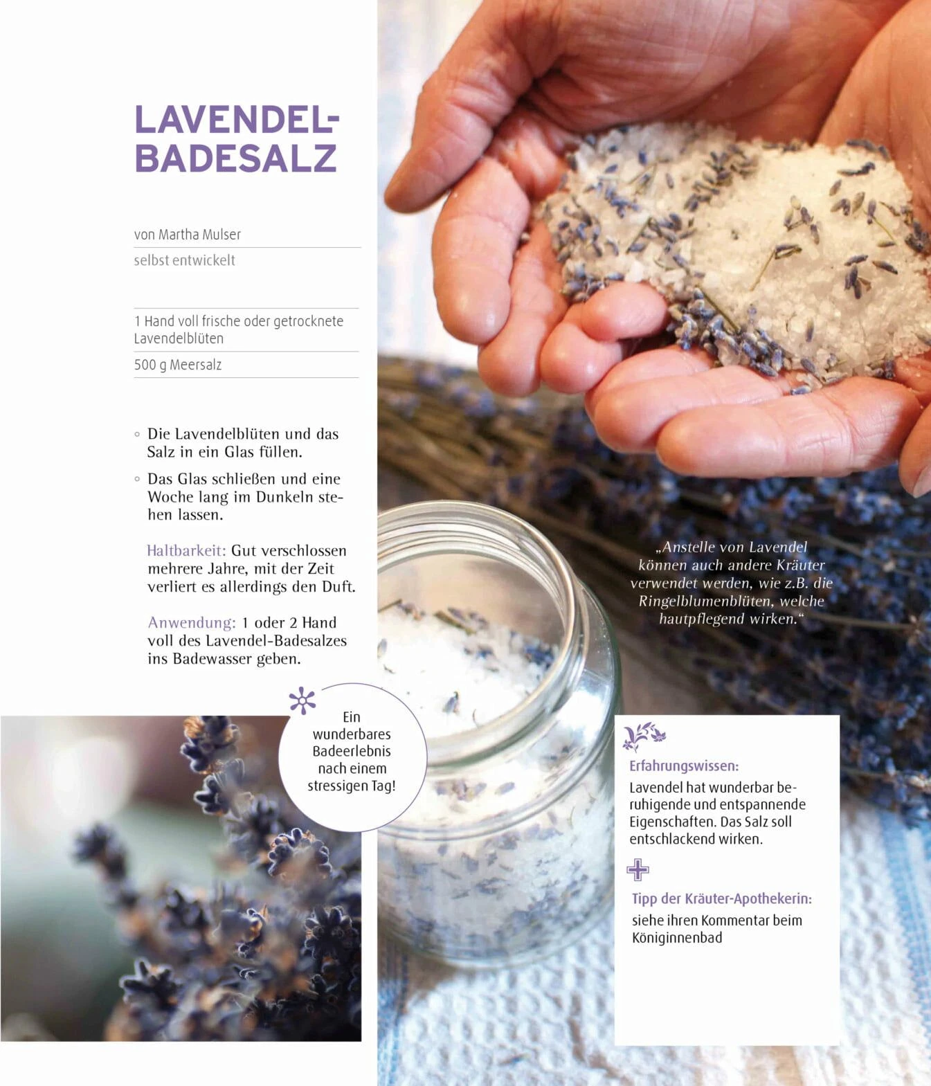 Die Kraft Der Kräuter Nutzen 4 Die Kraft Der Kräuter Nutzen – Bild 2