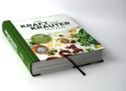 Die Kraft Der Kräuter Nutzen 14 Die Kraft Der Kräuter Nutzen -Pflanzensamen Rabatt loewenzahn verlag die kraft der kraeuter nutzen 1326447 de