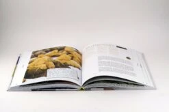 Ernte Mich Im Winter -Pflanzensamen Rabatt loewenzahn verlag ernte mich im winter 1 k 1327559 de