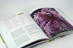 Ernte Mich Im Winter -Pflanzensamen Rabatt loewenzahn verlag ernte mich im winter 1 stk 832508 de