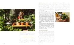 Fensterbrettgarten -Pflanzensamen Rabatt loewenzahn verlag fensterbrettgarten 1 stk 1593507 de