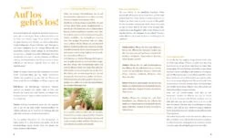 Fensterbrettgarten -Pflanzensamen Rabatt loewenzahn verlag fensterbrettgarten 1 stk 1593509 de