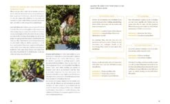 Fensterbrettgarten -Pflanzensamen Rabatt loewenzahn verlag fensterbrettgarten 1 stk 1593511 de