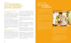 Fensterbrettgarten -Pflanzensamen Rabatt loewenzahn verlag fensterbrettgarten 1 stk 1593513 de