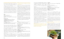 Fensterbrettgarten -Pflanzensamen Rabatt loewenzahn verlag fensterbrettgarten 1 stk 1593515 de