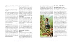 Haltbarmachen Im Glasumdrehen -Pflanzensamen Rabatt loewenzahn verlag haltbarmachen im glasumdrehen 1 stk 1202802 de