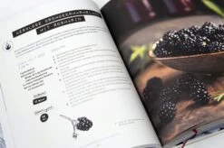 Haltbarmachen Im Glasumdrehen -Pflanzensamen Rabatt loewenzahn verlag haltbarmachen im glasumdrehen 1327156 de