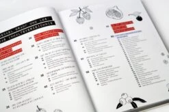 Haltbarmachen Im Glasumdrehen -Pflanzensamen Rabatt loewenzahn verlag haltbarmachen im glasumdrehen 1327163 de