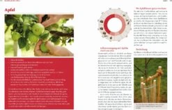 Handbuch Bio-Obst -Pflanzensamen Rabatt loewenzahn verlag handbuch bio obst 1 k 1222787 de