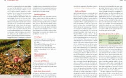 Handbuch Bio-Obst -Pflanzensamen Rabatt loewenzahn verlag handbuch bio obst 1 k 1222794 de