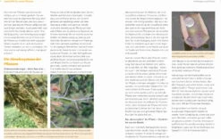 Handbuch Pflanzenschutz Im Biogarten -Pflanzensamen Rabatt loewenzahn verlag handbuch pflanzenschutz im biogarten 1 k 1222682 de