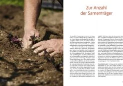 Handbuch Samengärtnerei 16 Handbuch Samengärtnerei -Pflanzensamen Rabatt loewenzahn verlag handbuch samengaertnerei 1 st 1683461 de