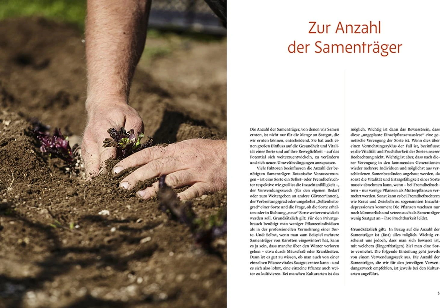 Handbuch Samengärtnerei 9 Handbuch Samengärtnerei – Bild 7