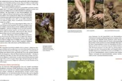 Handbuch Samengärtnerei