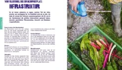 Kleine Fläche, Große Ernte -Pflanzensamen Rabatt loewenzahn verlag kleine flaeche grosse ernte 1682484 de