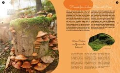 Pilzgeflüster -Pflanzensamen Rabatt loewenzahn verlag pilzgefluester 1 k 1059828 de