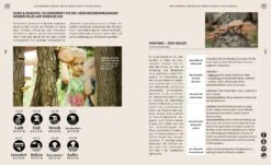 Pilzgeflüster -Pflanzensamen Rabatt loewenzahn verlag pilzgefluester 1 k 1059880 de