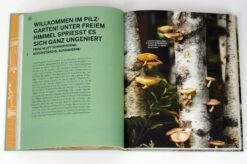 Pilzgeflüster -Pflanzensamen Rabatt loewenzahn verlag pilzgefluester 1328110 de