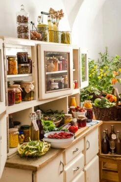 Praxishandbuch Natürlich Konservieren -Pflanzensamen Rabatt loewenzahn verlag praxishandbuch natuerlich konservieren 1 k 1223736 de