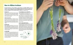 Projekte Zum Anpacken -Pflanzensamen Rabatt loewenzahn verlag projekte zum anpacken 1679720 de